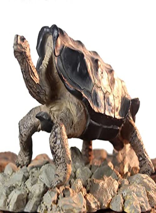 NomoyPet Resin Turtle Shape Decoration Toy for Terrarium (A8-Galapacos (18.5 * 8.5 * 10cm)) - Image 1